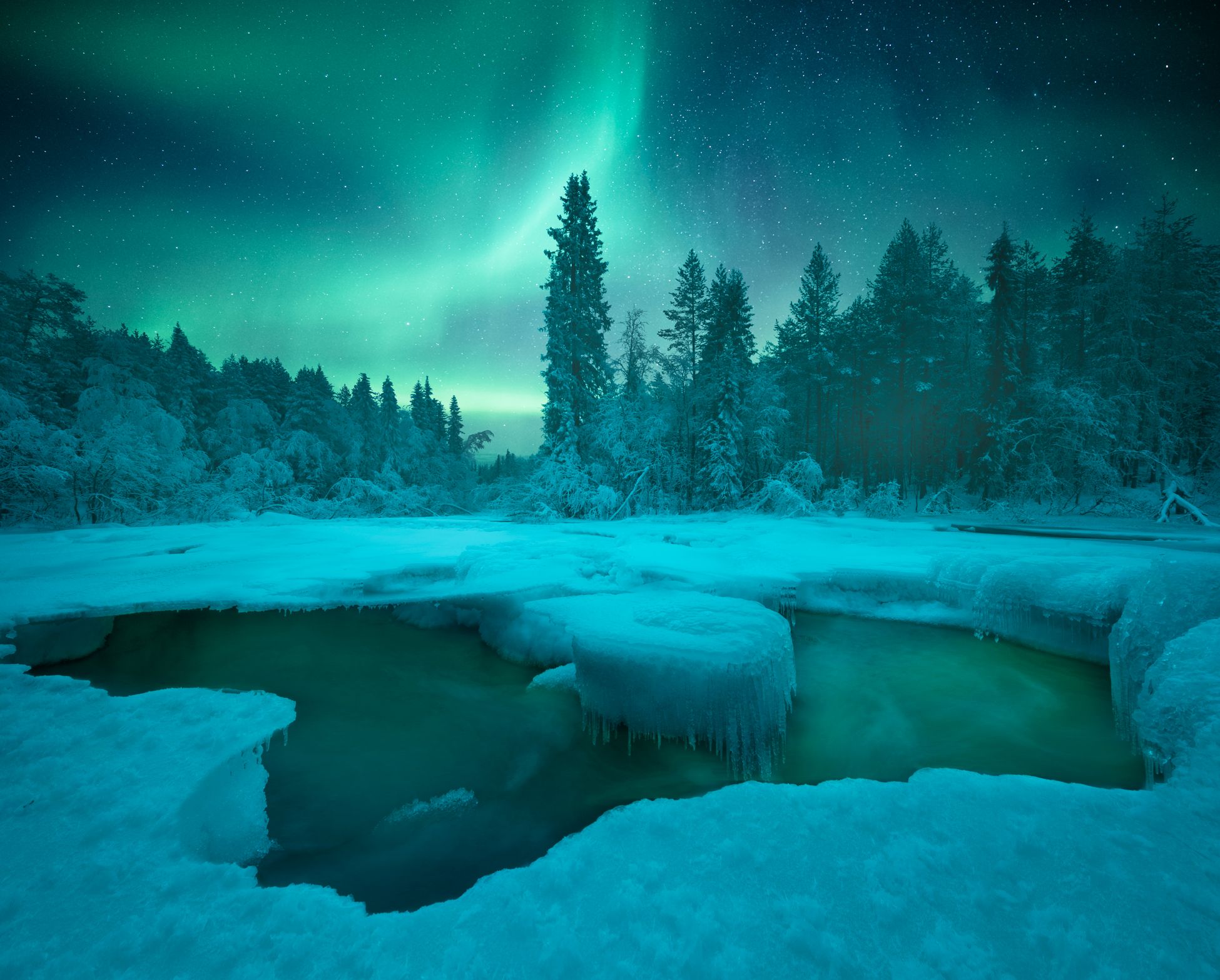 кольский полуостров, кольский, зима, winter, snow, kola peninsula, forest, aurora borealis,  Aleksey R.