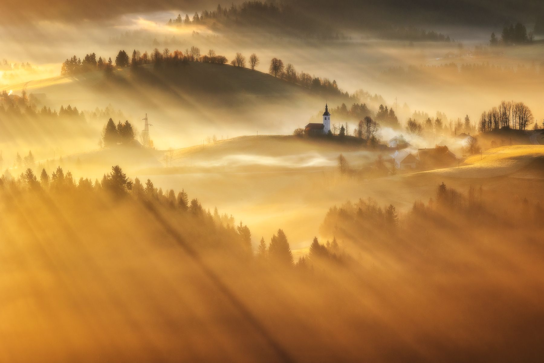 slovenia, Pawel Uchorczak