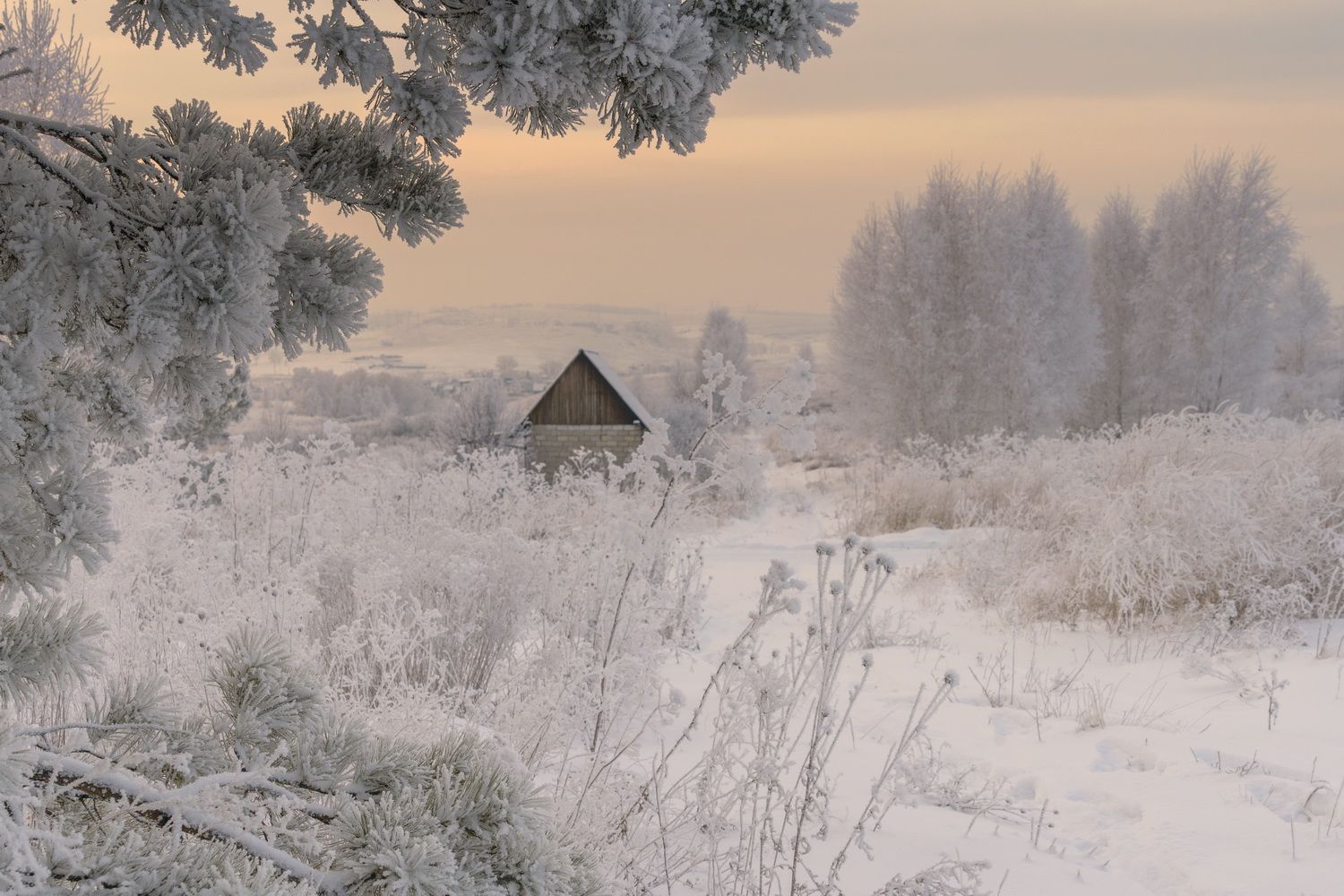 Теплые зимы в сибири. Зимняя Сибирь. Сибирь зимой фото. Великий Устюг пейзаж морозная зима. Беленые дома в Сибири зимой.