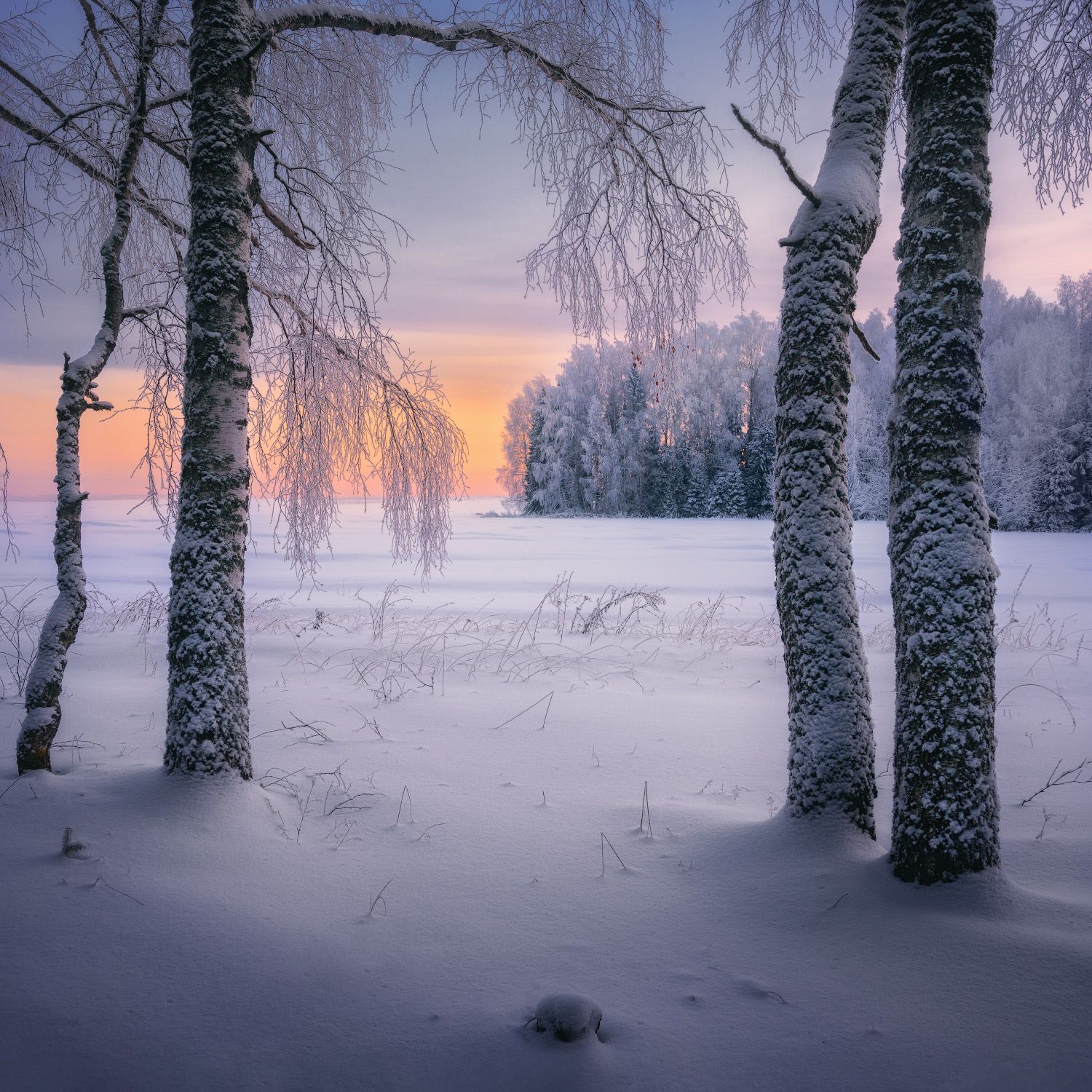 зима, вечер, мороз, Дмитрий Медянцев