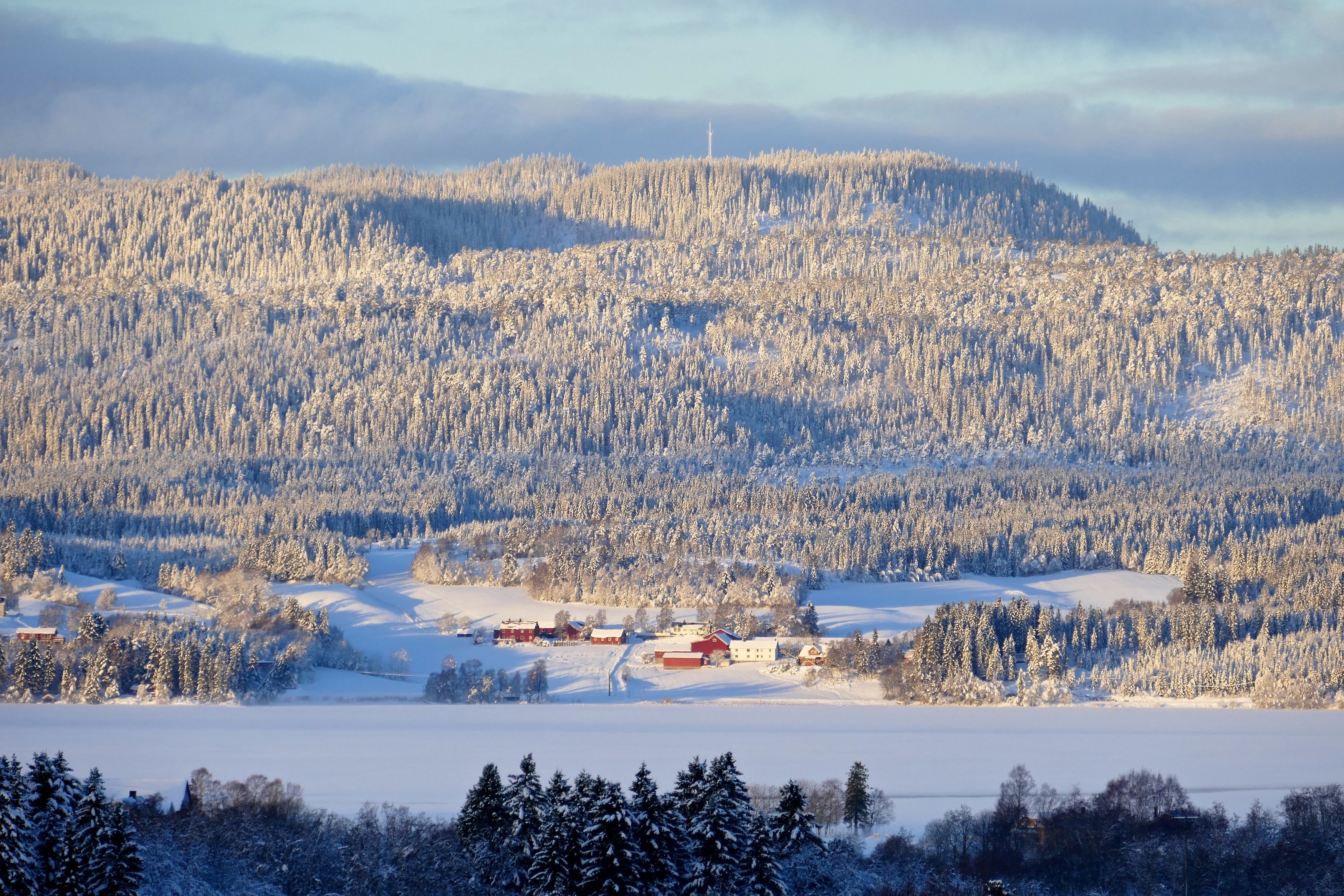 Landscapes, nature, winter, snow, cold, Norway, day, sun light, frost, forest, houses, , Svetlana Povarova Ree