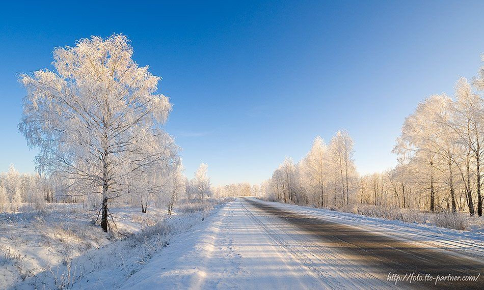 зима, мороз, дорога, деревья, иней, снег, Partner (Андрей Алексеев)