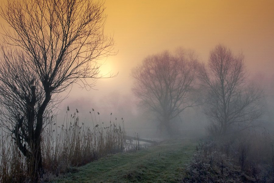 пейзаж, зима, утро, туман, там где теряется реальность, lad_i_mir, lad_i_mir