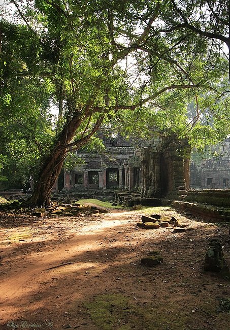 фото, ta som, камбоджа, храм, Ольга Горелова