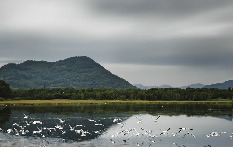 камчатка,облака,чайки,вода,отражение, Евгений Пугачев.