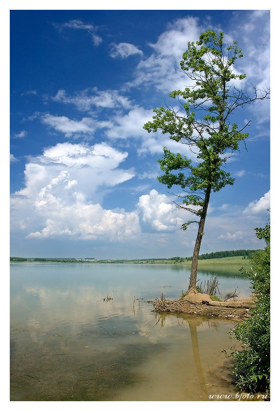 пейзаж, фото, озеро, лето, Алексей Строганов