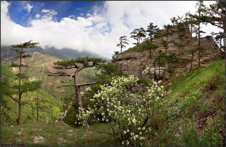 крым, ялта, горы, пейзаж, Андрей Житков