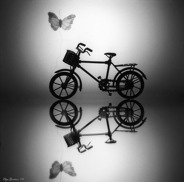 фото, натюрморт, бабочка, Ольга Горелова