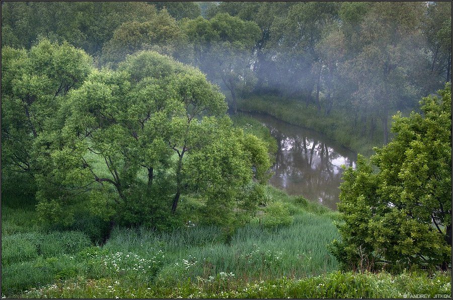 москва, лето, утро, овраг, река, туман, пейзаж, Андрей Житков