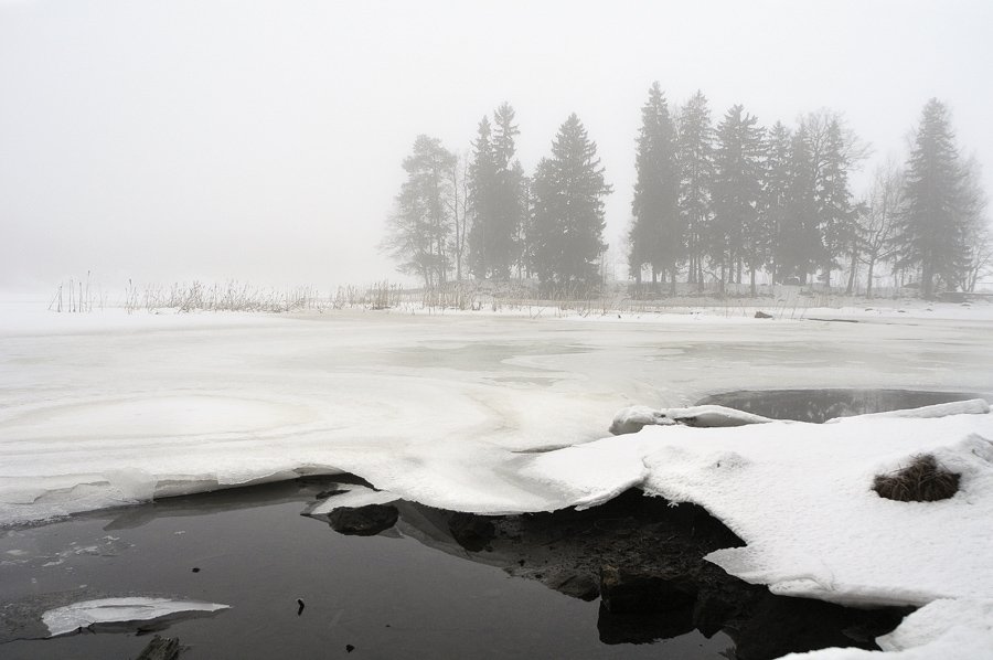 финский залив,заповедник монрепо,туман,снег, Евгений Пугачев.