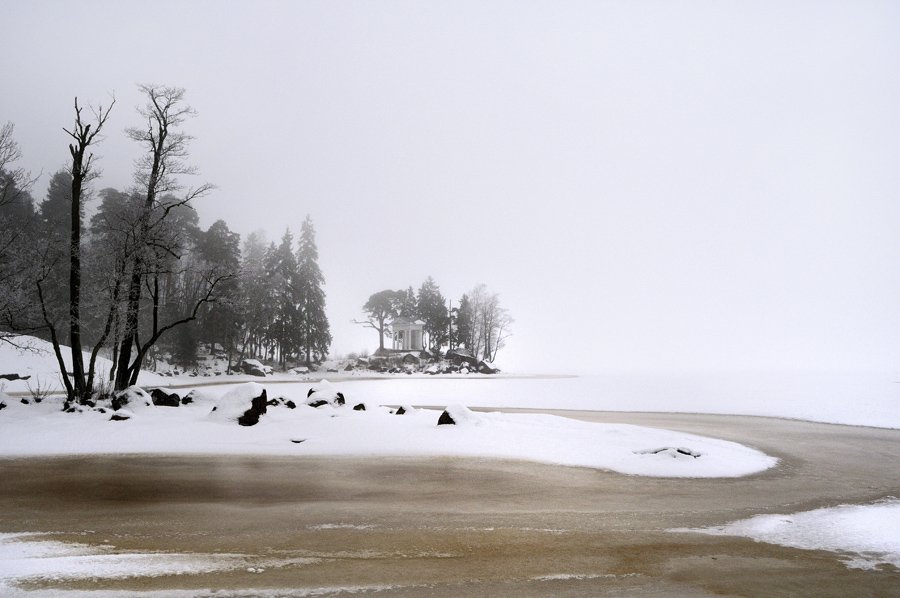 монрепо,выборг,деревя,туман,снег,финский залив, Евгений Пугачев.