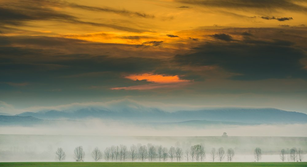 sunrise, fog, morning, wood, clouds, wonderful, Philip Peynerdjiev