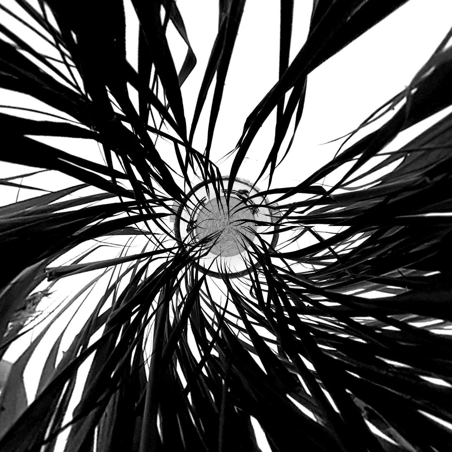 grass, abstract, b&w, art, Yakovleva Karina