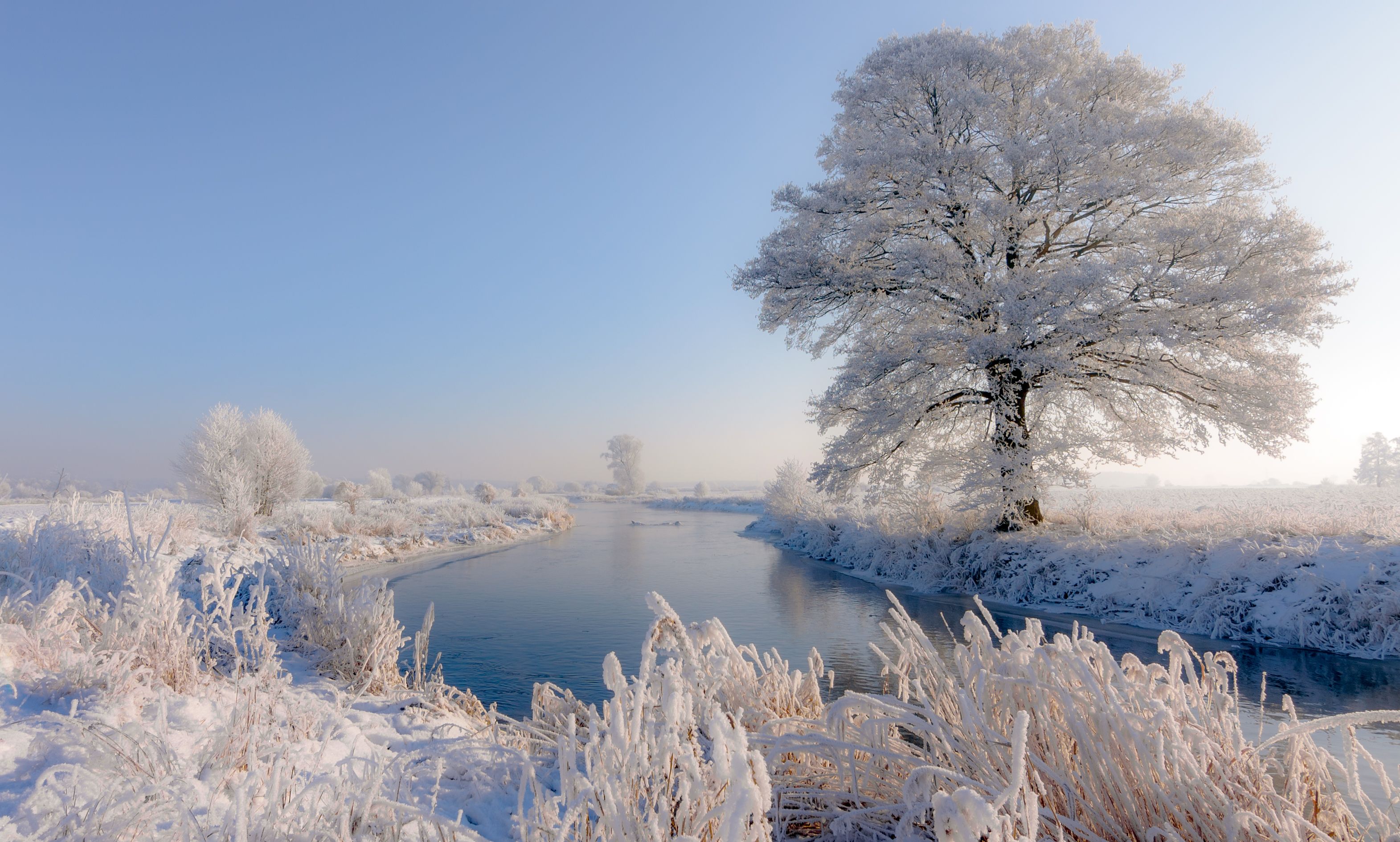 winter 2021, river, Gwda, nature, snow, frost, landscape, frost, tree, water, sky, light, Krzysztof Tollas