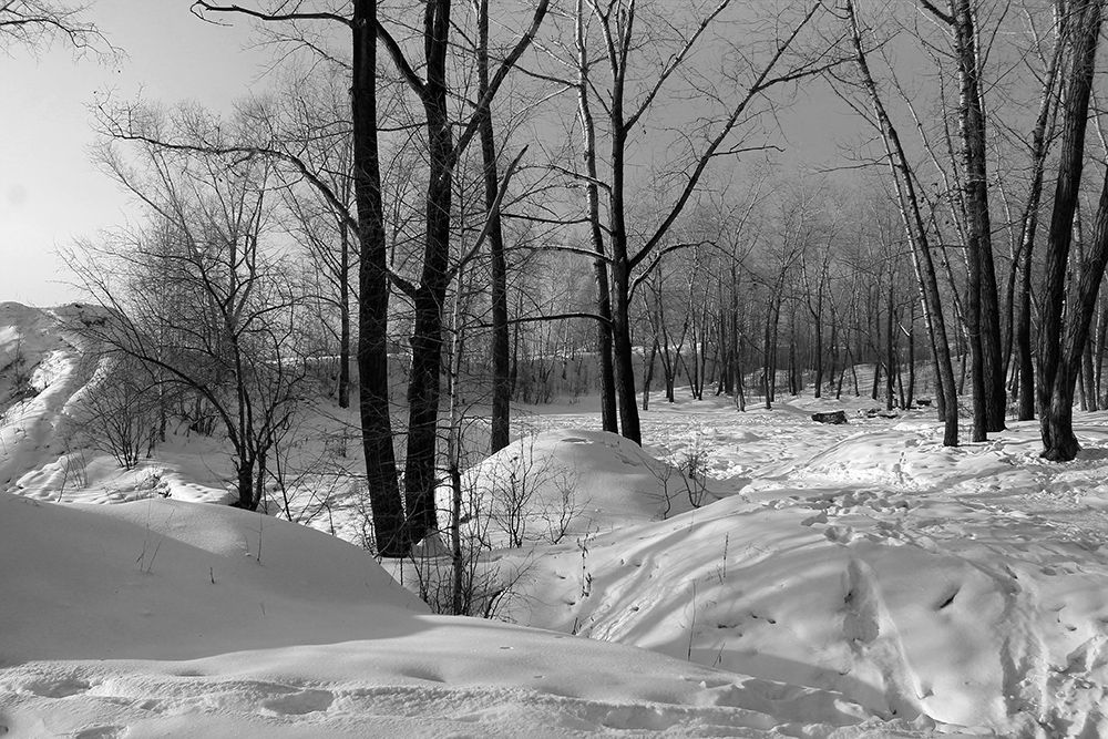 зима, пейзаж, черно-белое, Курочкина Диана
