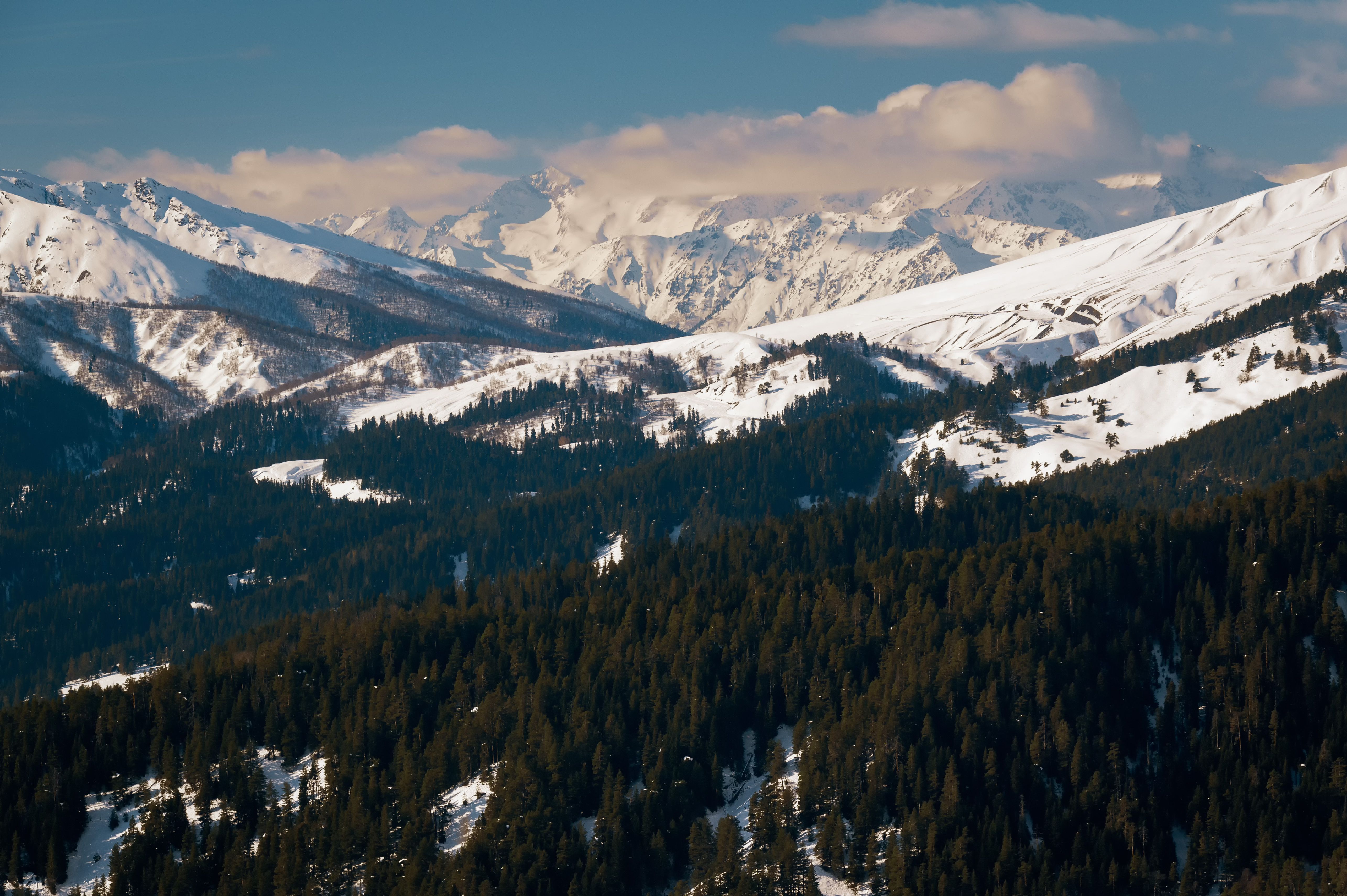 arkhyz landscape snow landscape frozen frost nature mountains forest pine, Бугримов Егор