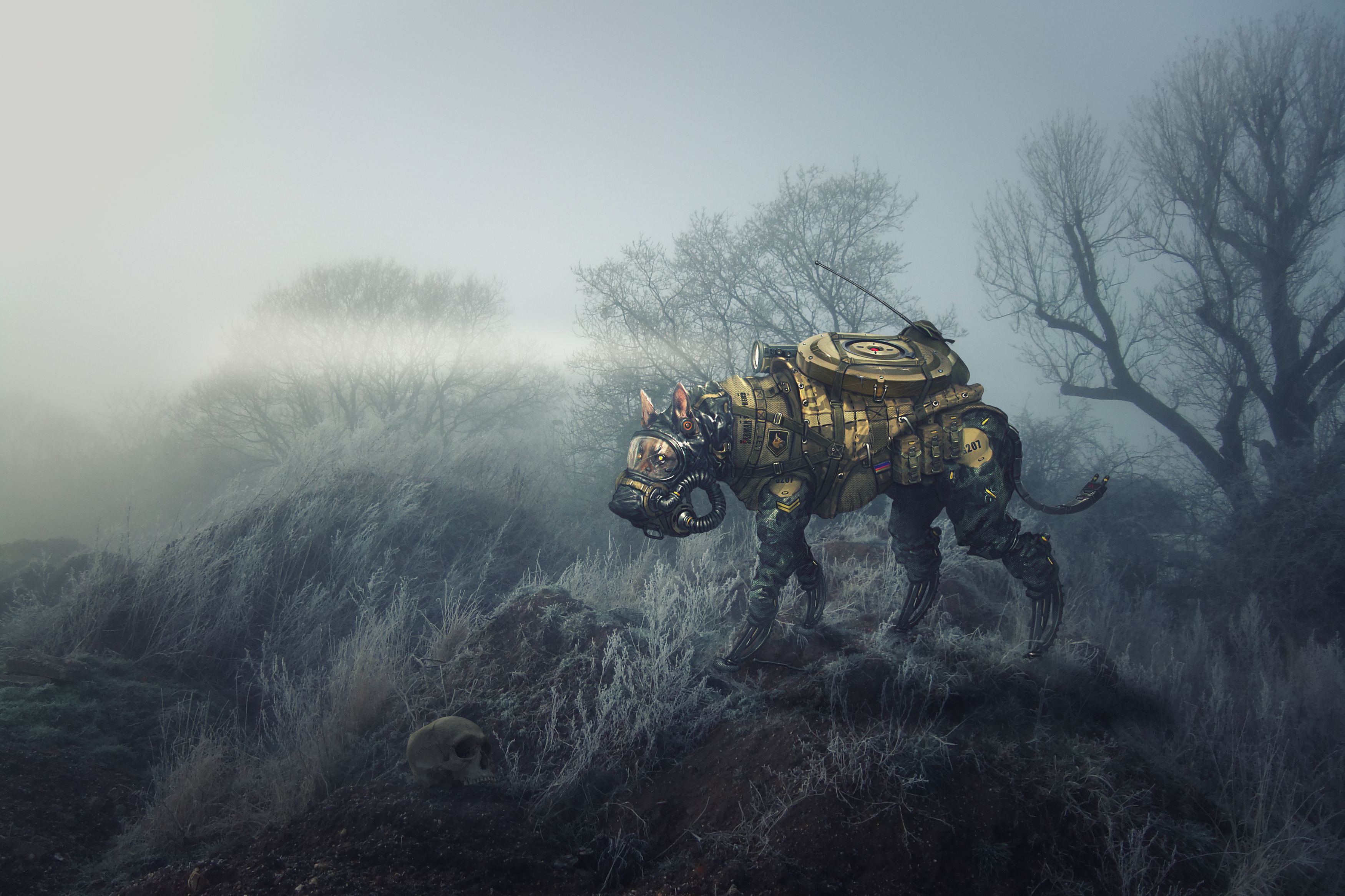 поле, собака, робот, Sergii Vidov