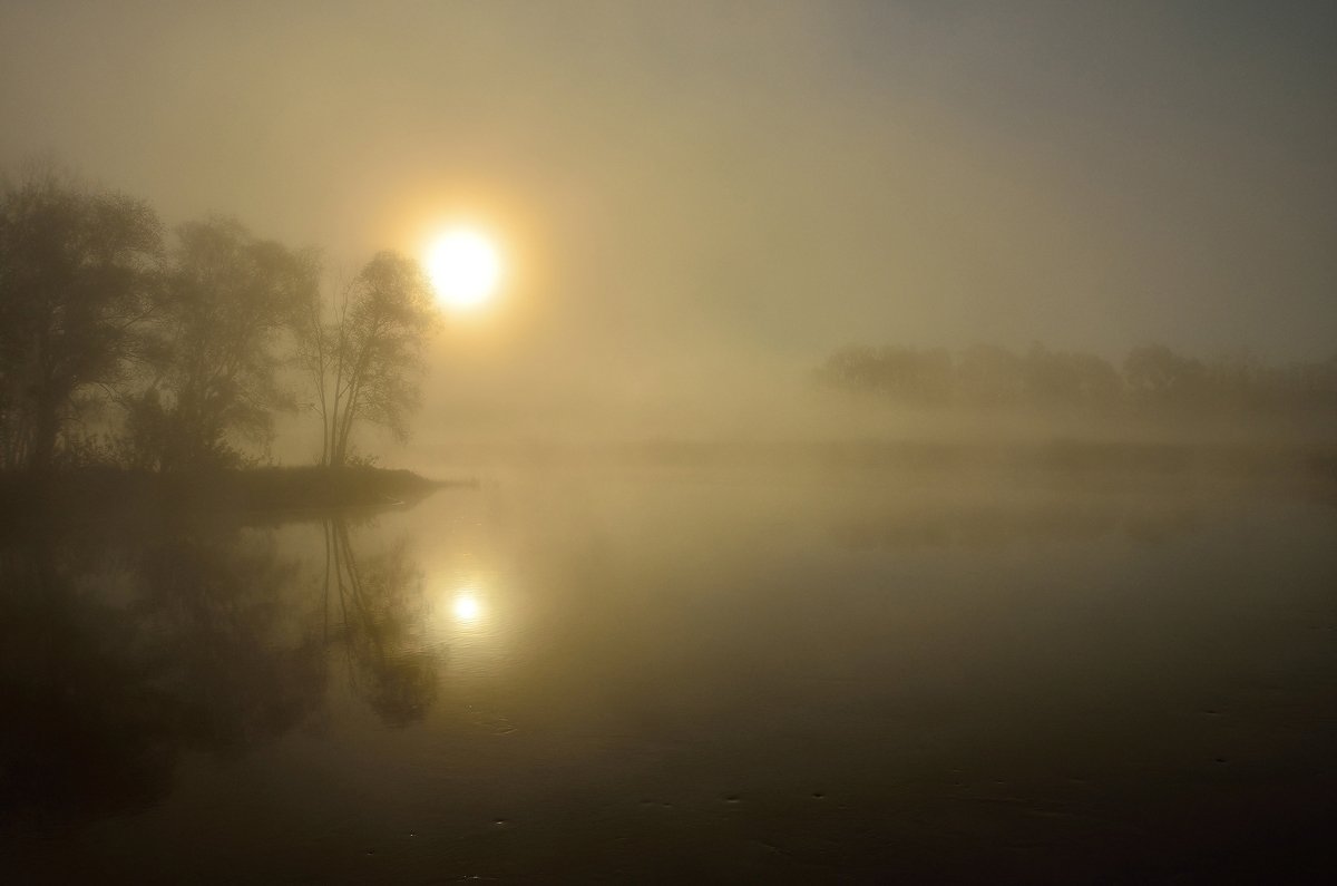 утро, туман, река, Животков Андрей