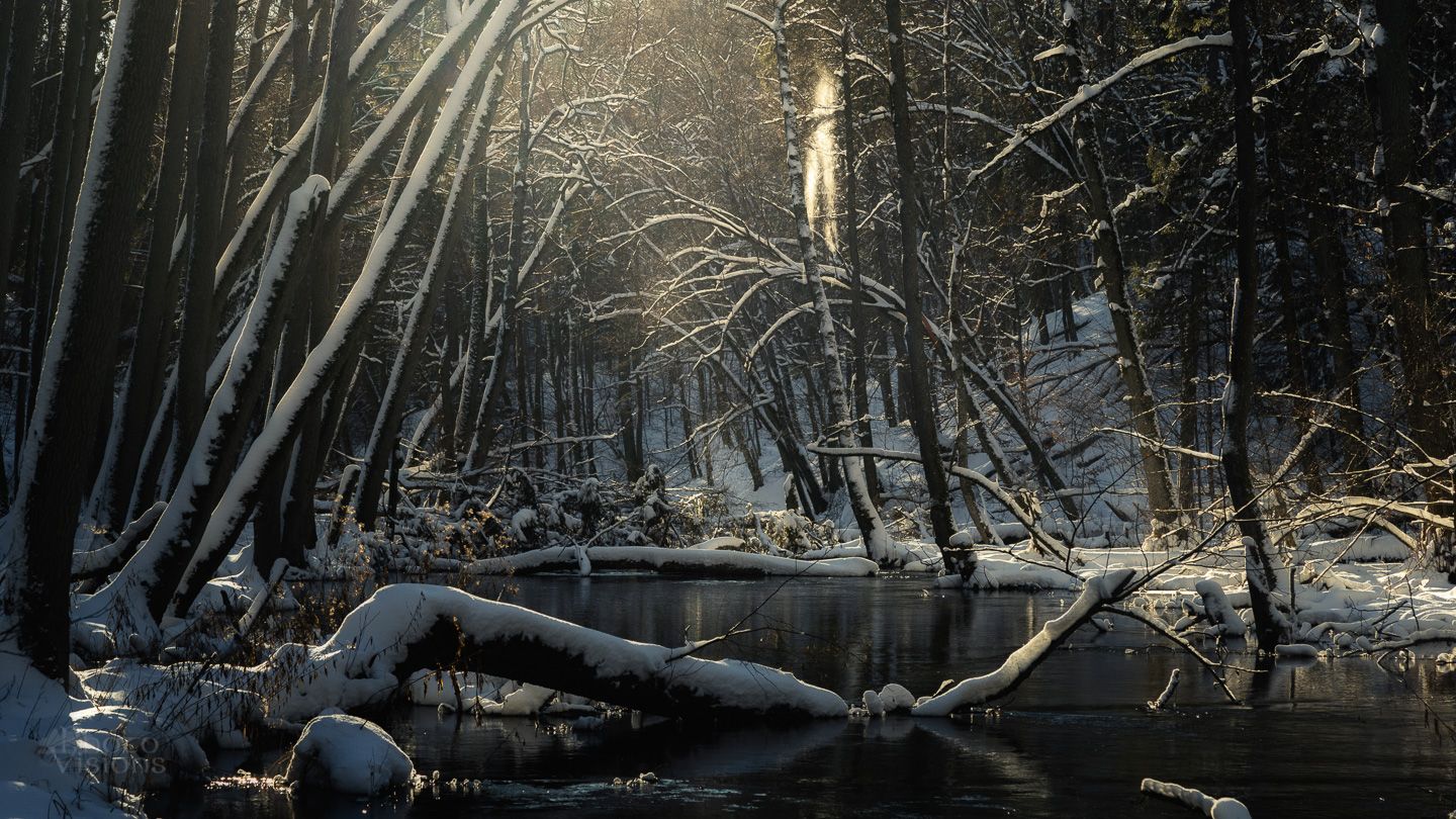 river,snow,snowy,winter,trees,forest,woodlands,, Adrian Szatewicz