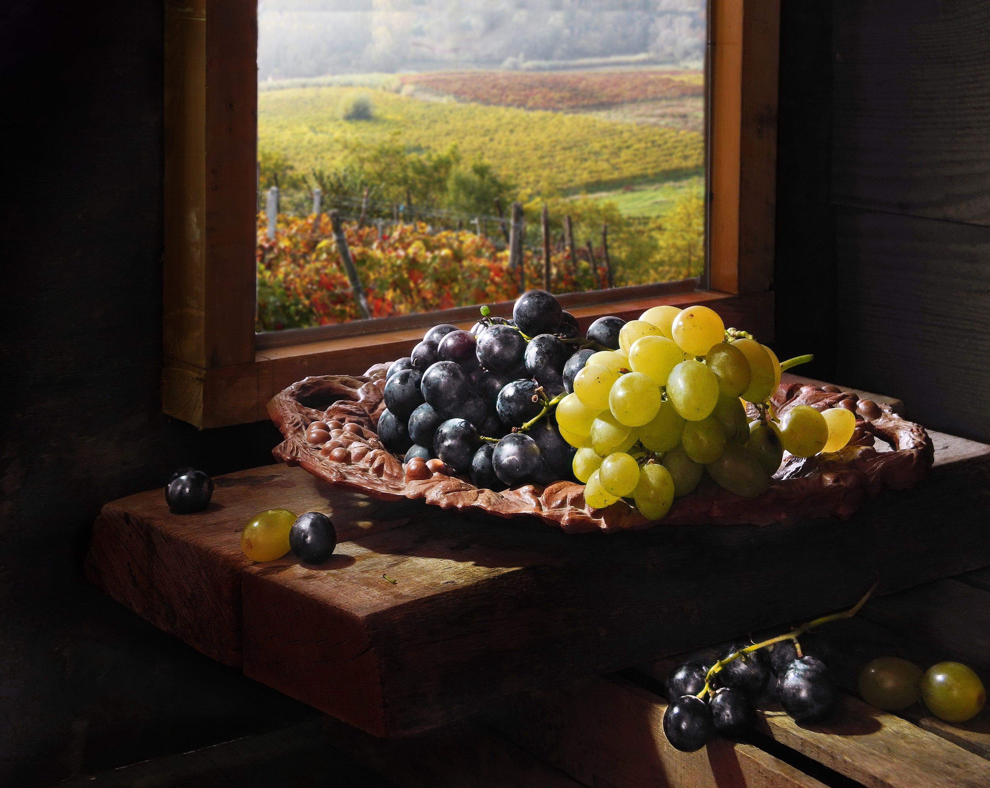 виноград вино виноградник натюрморт юг, Сергей Фунтовой