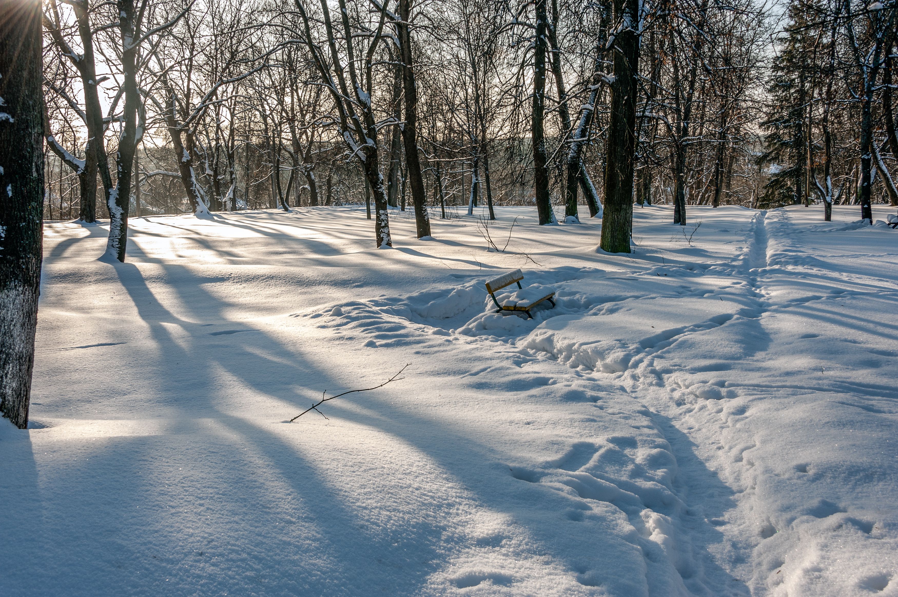 Расчищенная дорожка вела. Луговой парк зимой. Зимняя дорожка в парке. Дорожки зимнего парка. Тропинка в зимнем парке.