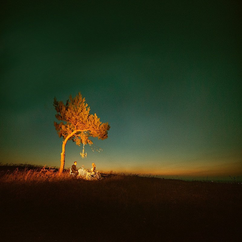 dmytro sobokar, season, sobokar, summer, sunset, tree, wedding, дмитро собокар, sobokarfoto, портрет, woman, dmytro sobokar,, Дмитро Собокар