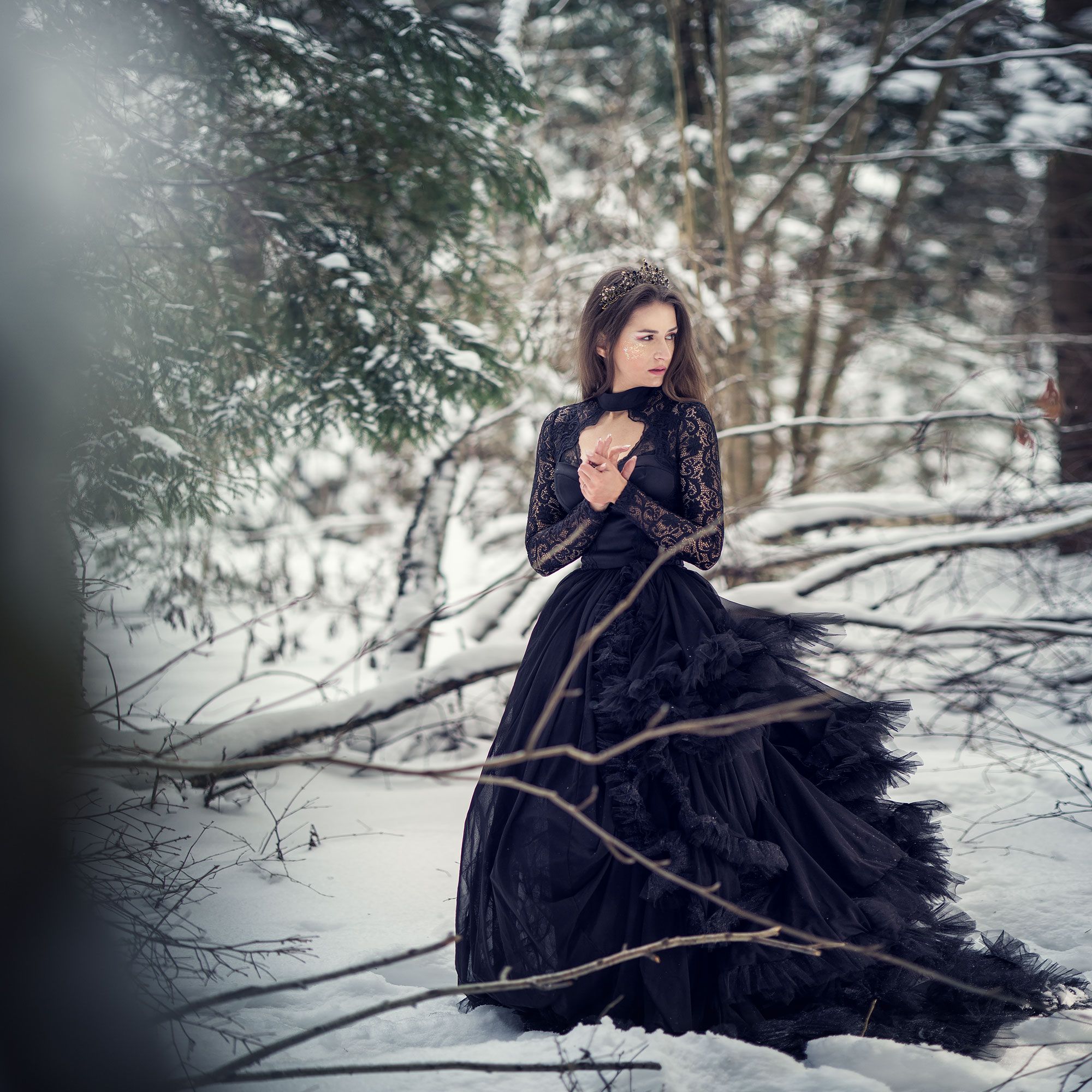 белый зеленый дым черное платье корона крылья зима лес девушка сказка снег история волшебство, Ирина Мухина