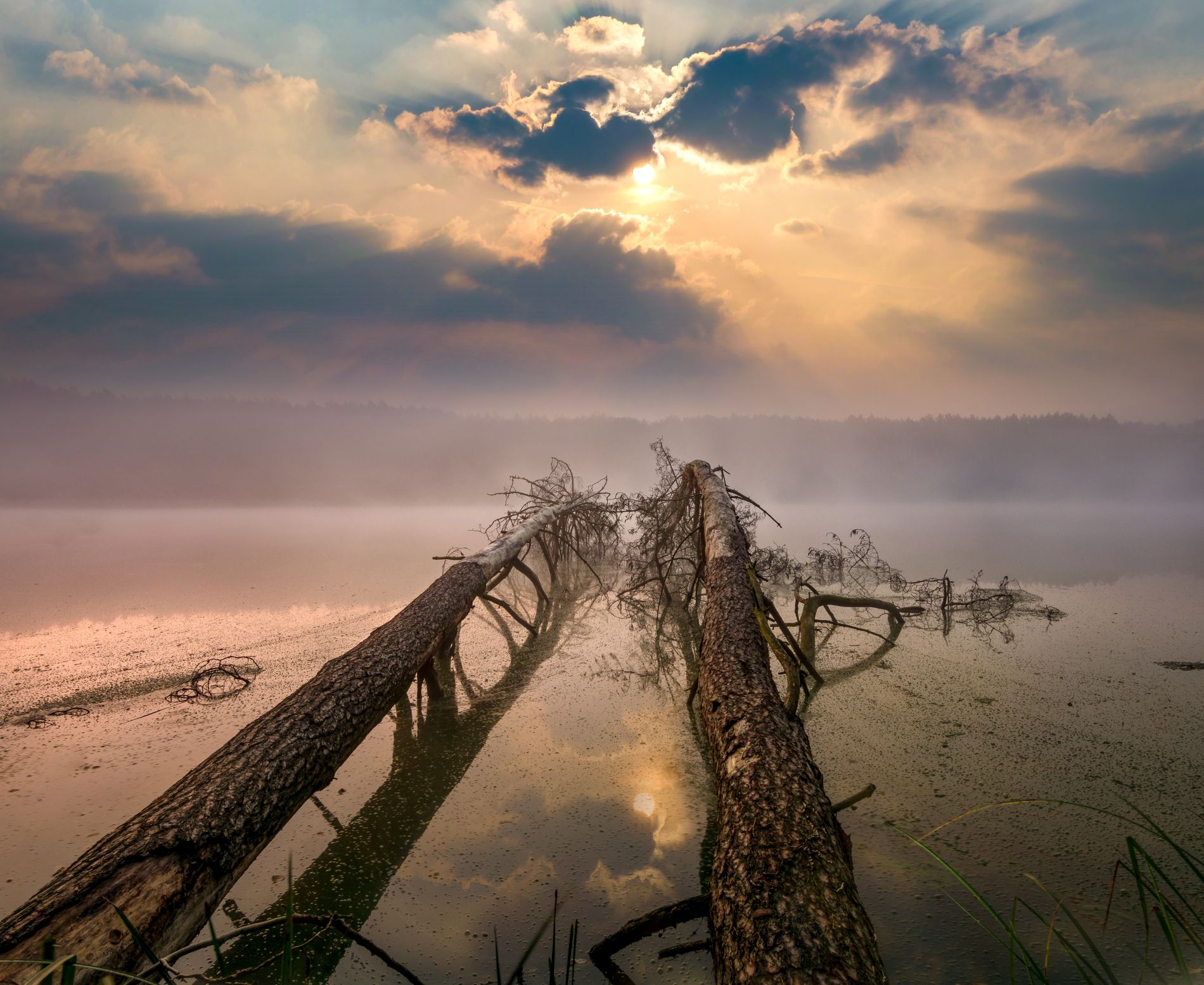 Landscapes - Nature  Nature  Water  Lake Lagoon  Forest  Trees  Sky  Cloud - sky  Landscapes  Fog  Dawn  Silence  Mirror, Krzysztof Tollas