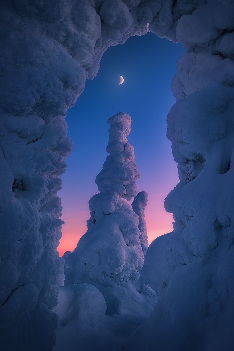 lapland, finland, winter, snow, tree, moon, landscape , Roberto Pavic