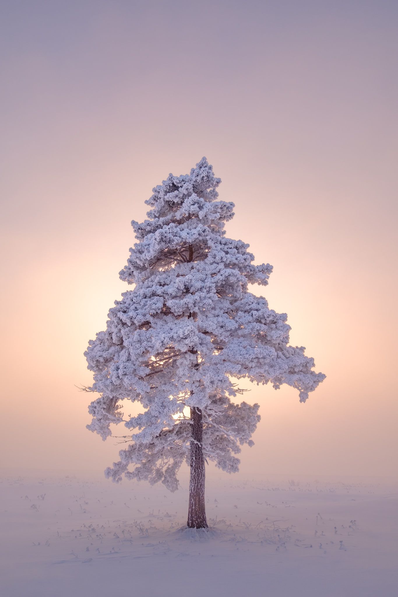 зима, зимний пейзаж, пейзаж ,снег, закат, сибирь, мороз, winter, fujifilm, Константин Леонтьев