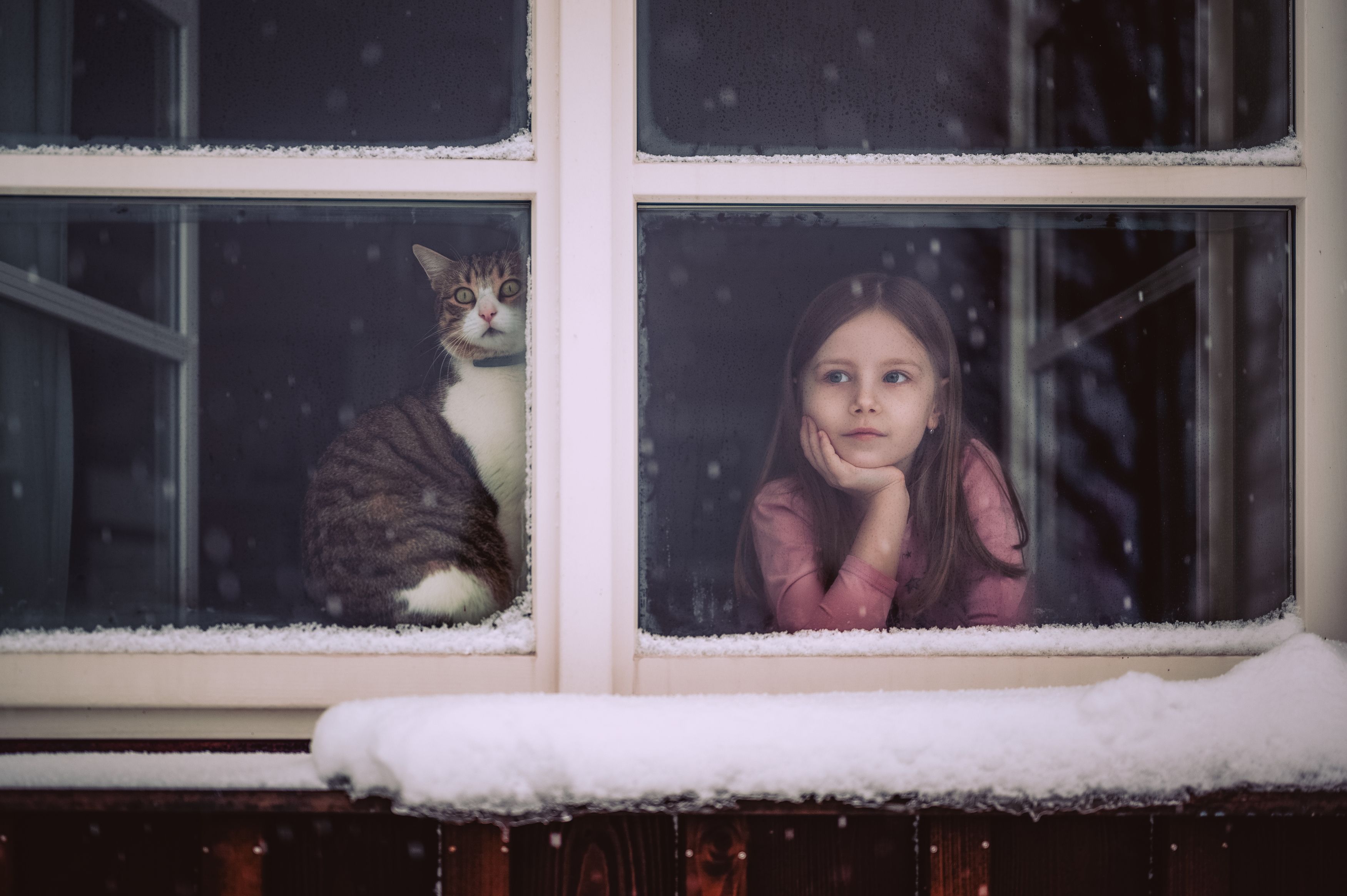 Рождественское время, christmas, девушка, girl, kids, ребенок, cat, winter, snow, Stanislav Judas