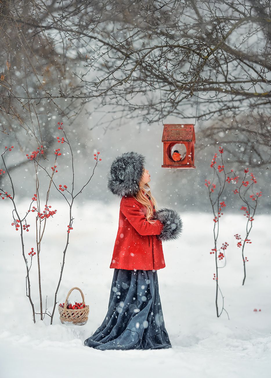 постановочнаяфотография, детскийпортрет, дети, зима, Соловьёва Елена