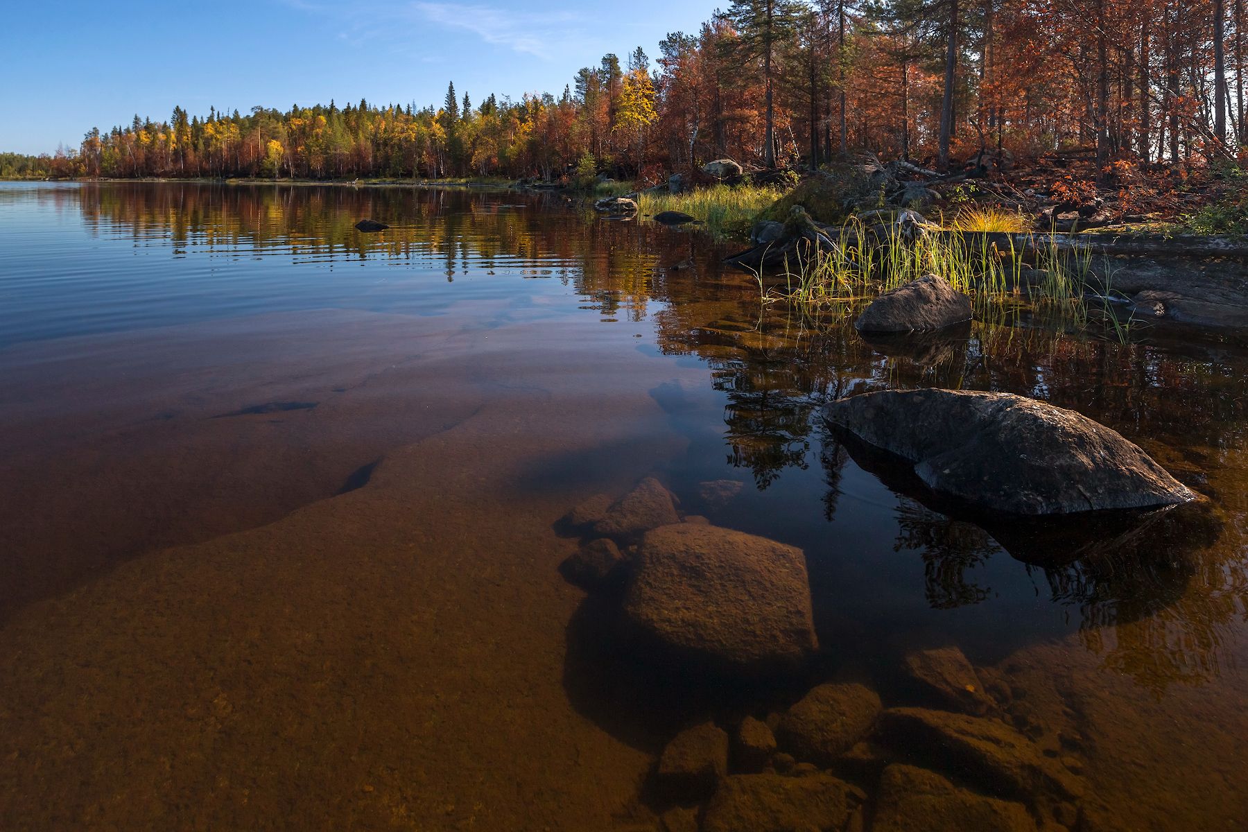 карелия, Ярослав Лукьянов