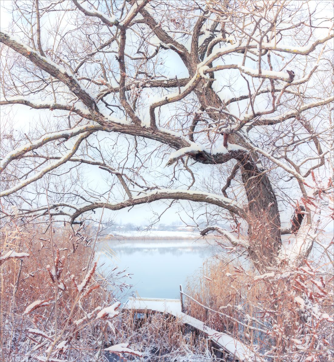 утро, снег, река, рассвет, мороз, зима, пейзаж, дерево, мостик, Станислав Саламанов