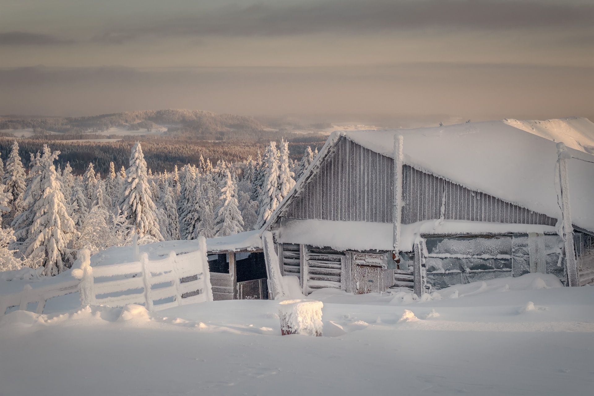 Там где снег. Photographer Chizh Andrey