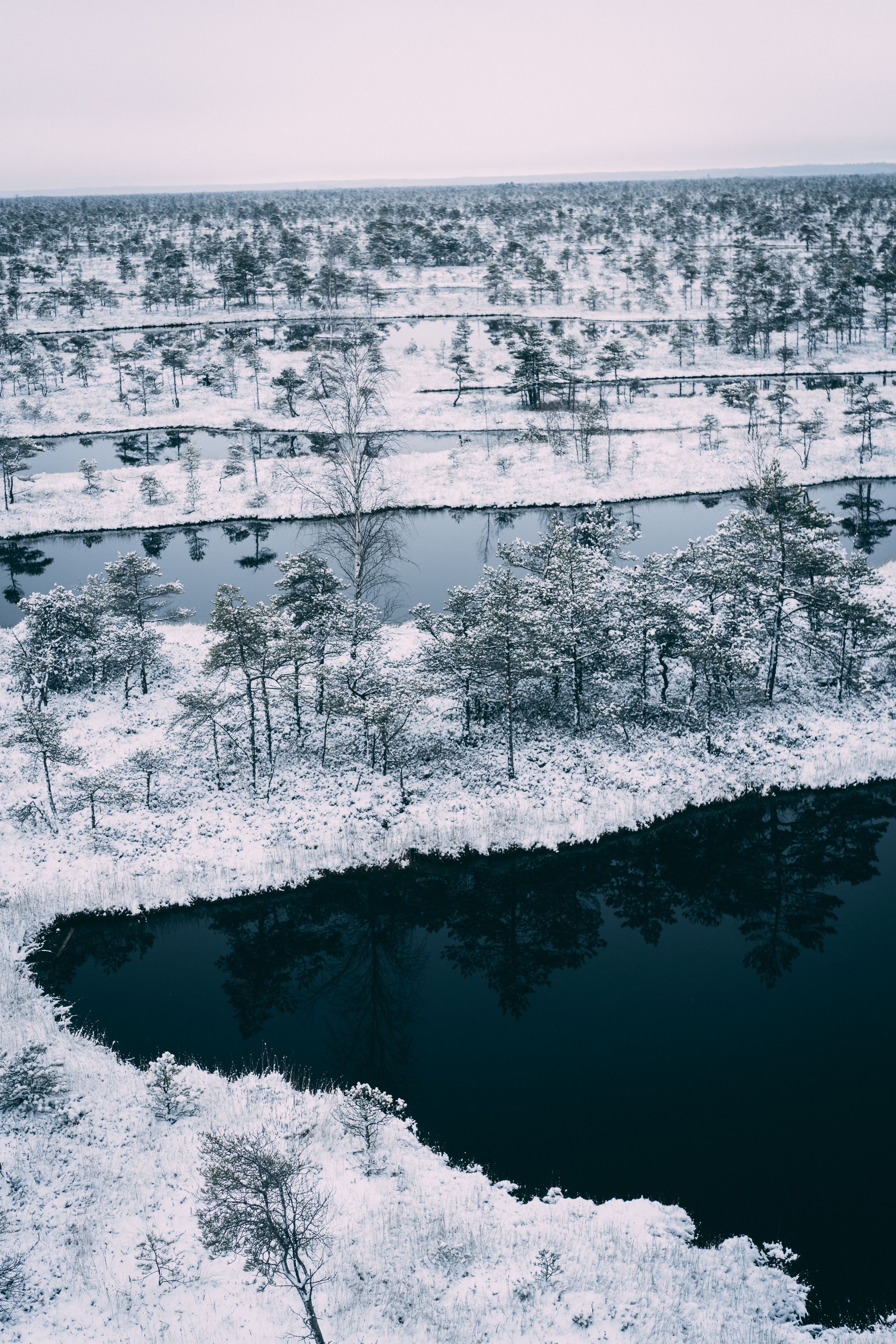 winter, sky, outdoor, new, frost, cover, environment, natural, snowy, beautiful, frozen, ice, forest, season, snow, nature, , Raimond Klavins