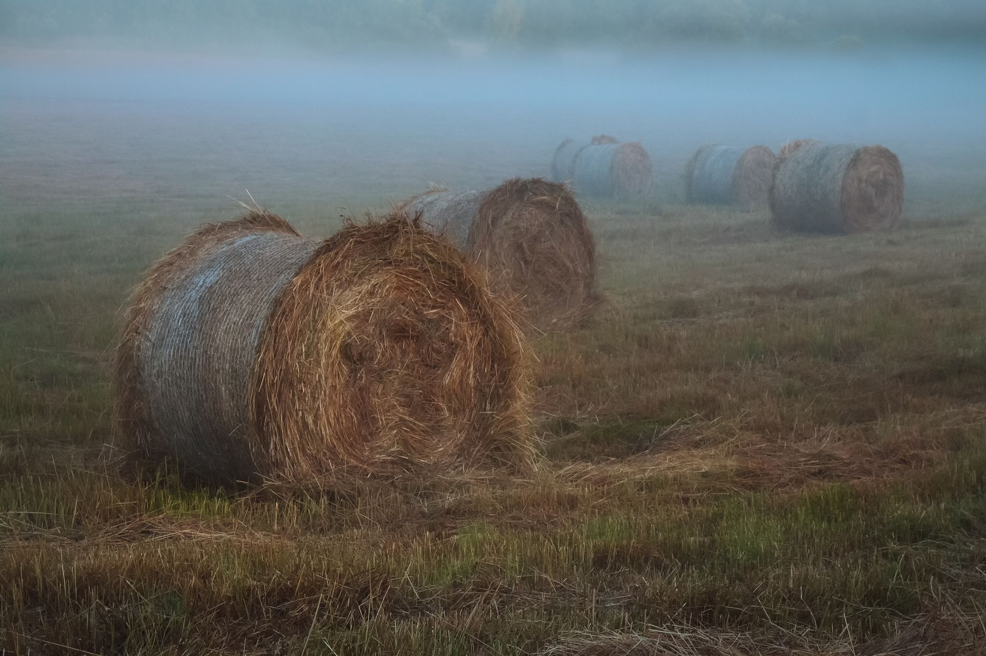 утро, туман, стог, сено, трава, жнивьё, рассвет, Светлана Холодняк