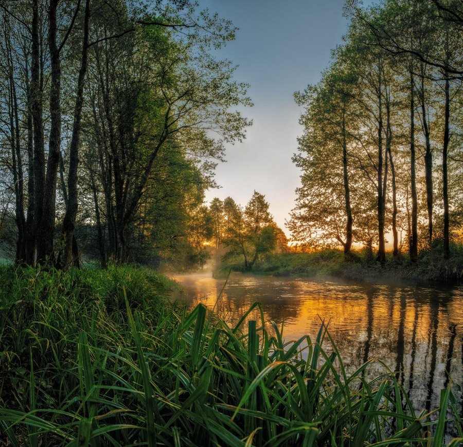 Dawn,, Fog, Light, Morning, River, Spring, Sunrise, Алексей Исаченко