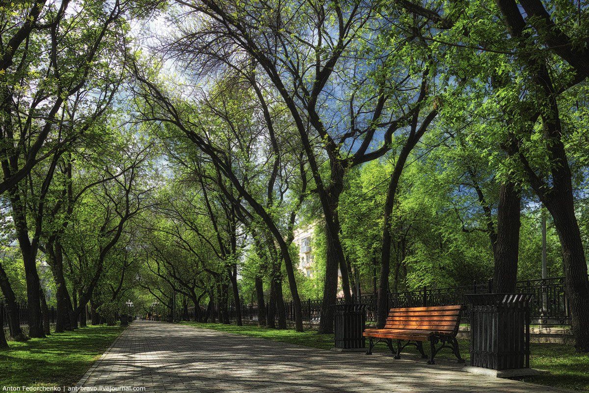 Аллея, Екатеринбург, Проспект, Антон Федорченко