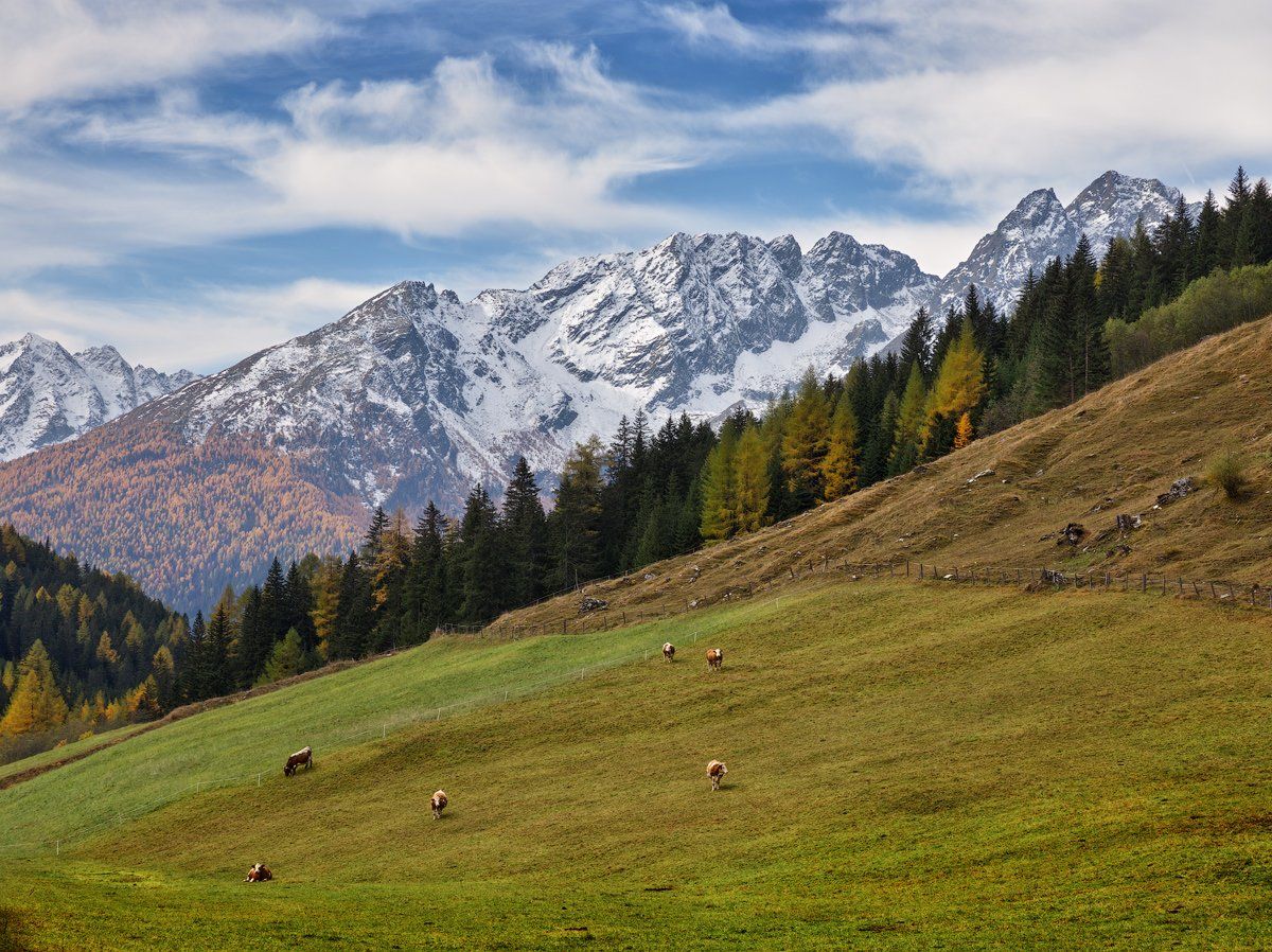 alps, austria, австрия, альпы, Денис Сорокин