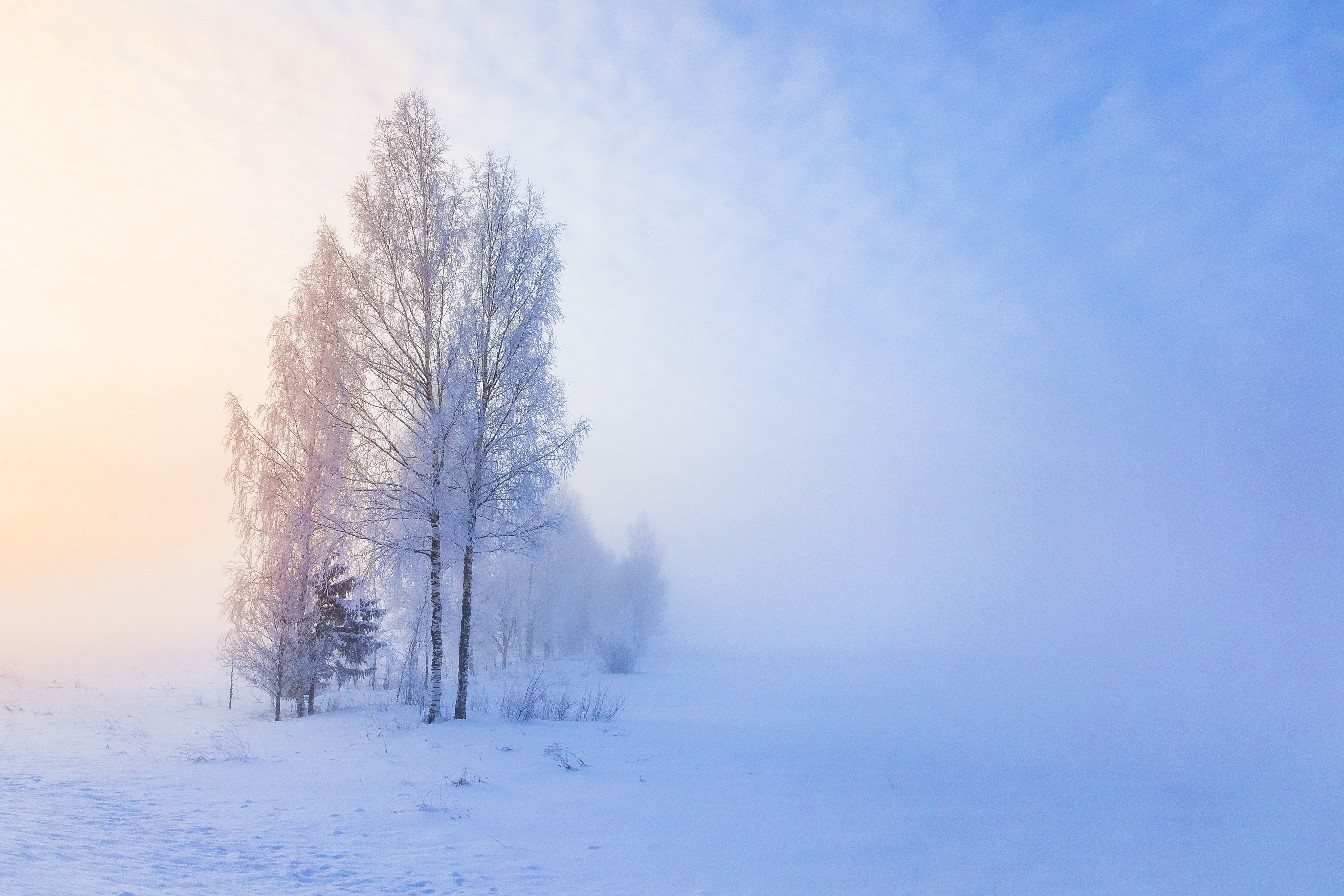 пейзаж, зима, мороз, туман, снег, Игнатьев Александр