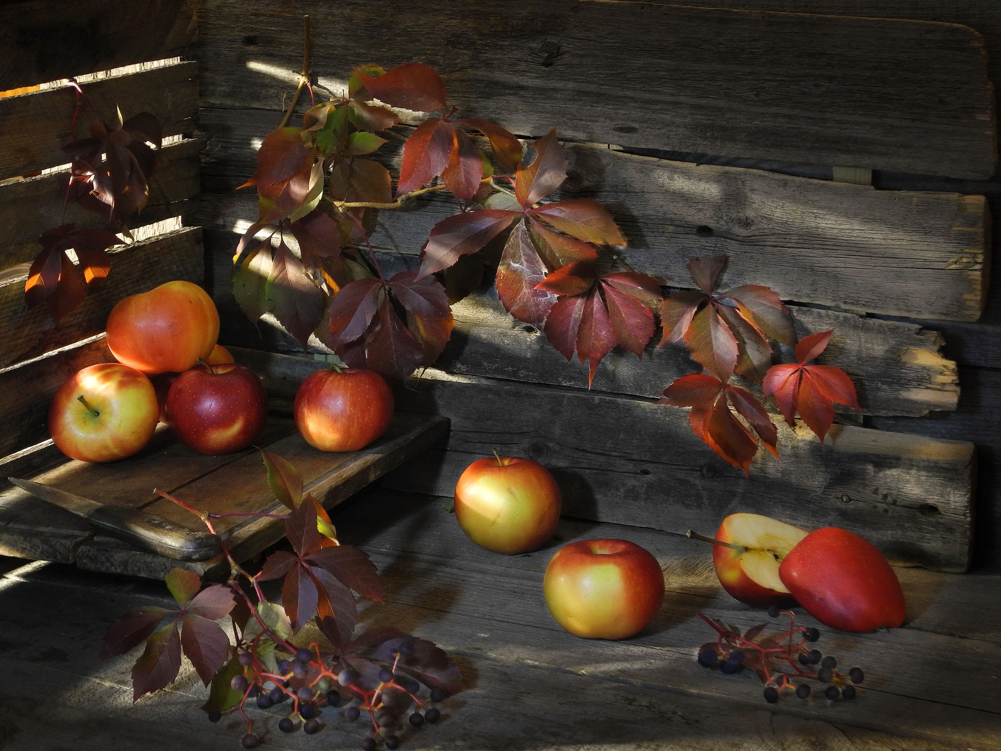 яблоки ягоды фрукты еда осень дача сад листья, Сергей Фунтовой