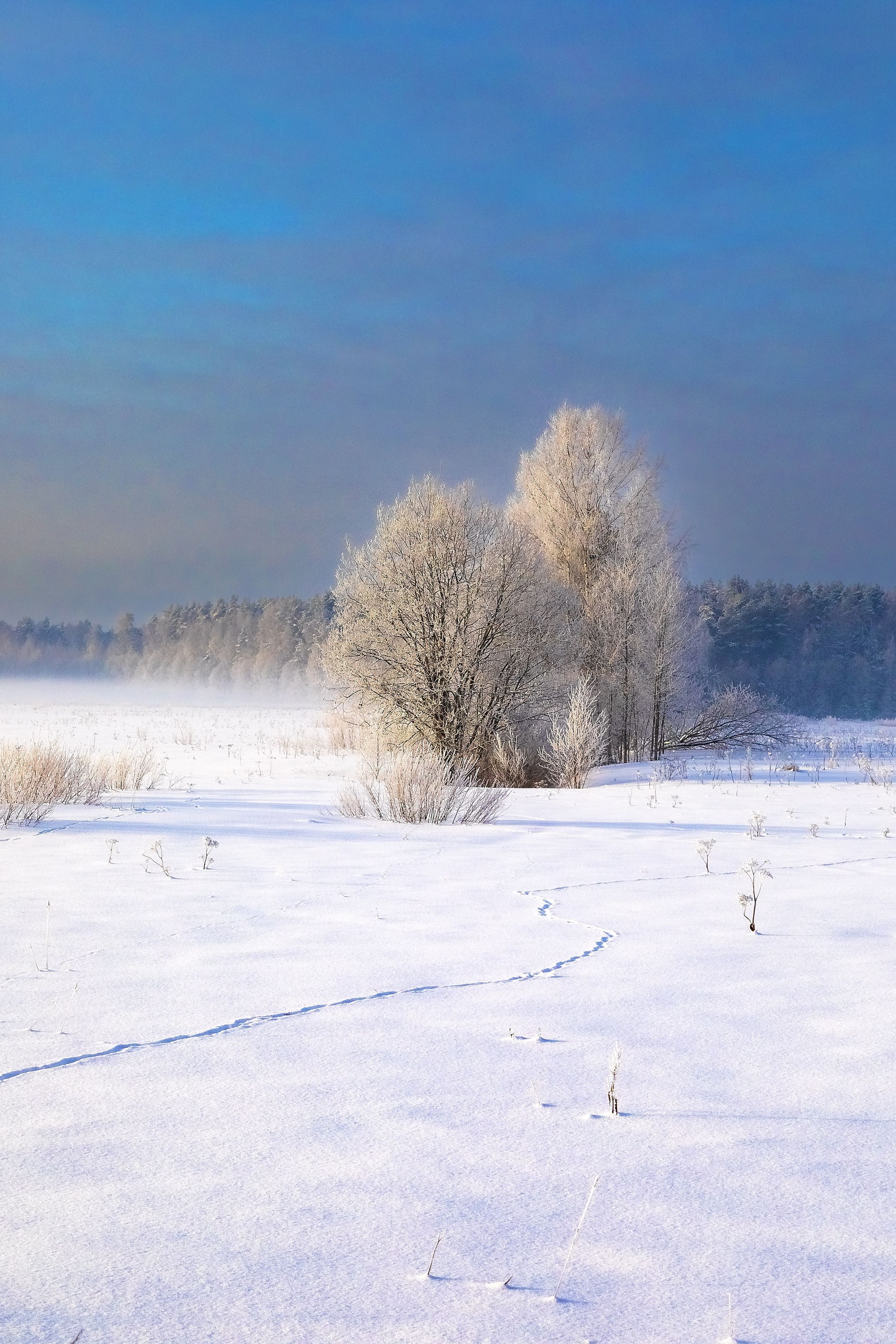 пейзаж, природа, день, зима, Игнатьев Александр