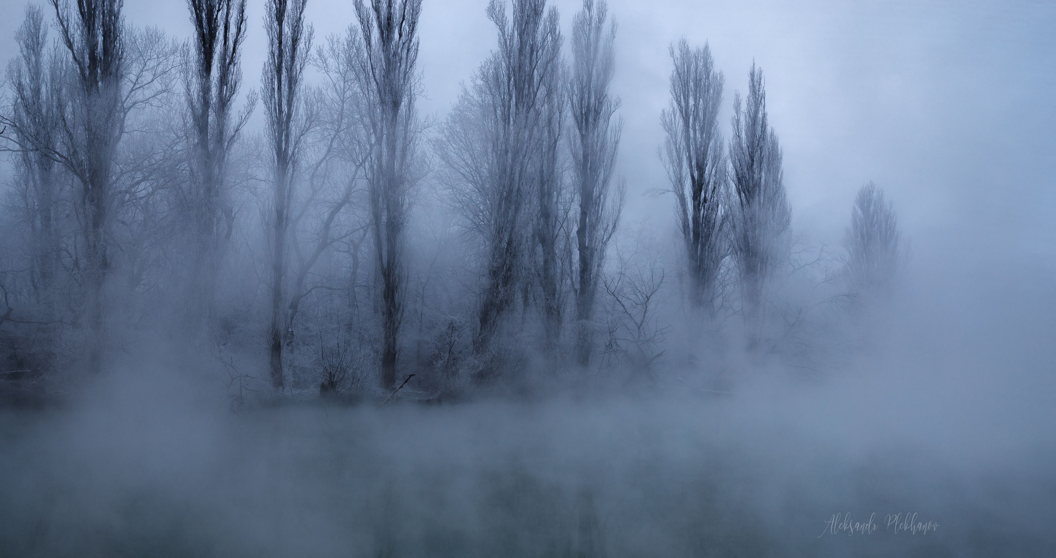туман, Plekhanov Alexander