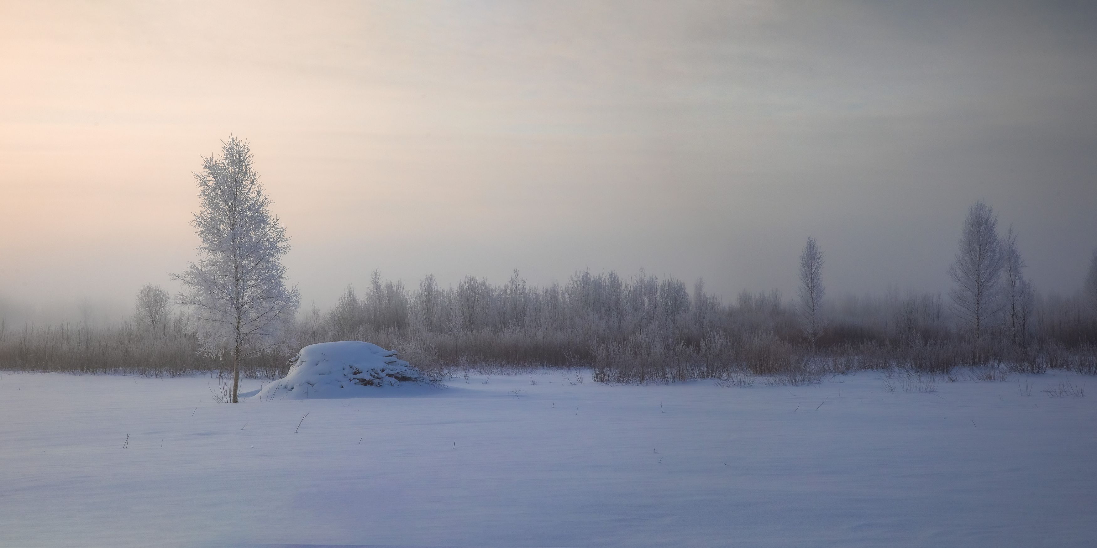 пейзаж, зима, мороз, туман, снег, утро, Игнатьев Александр