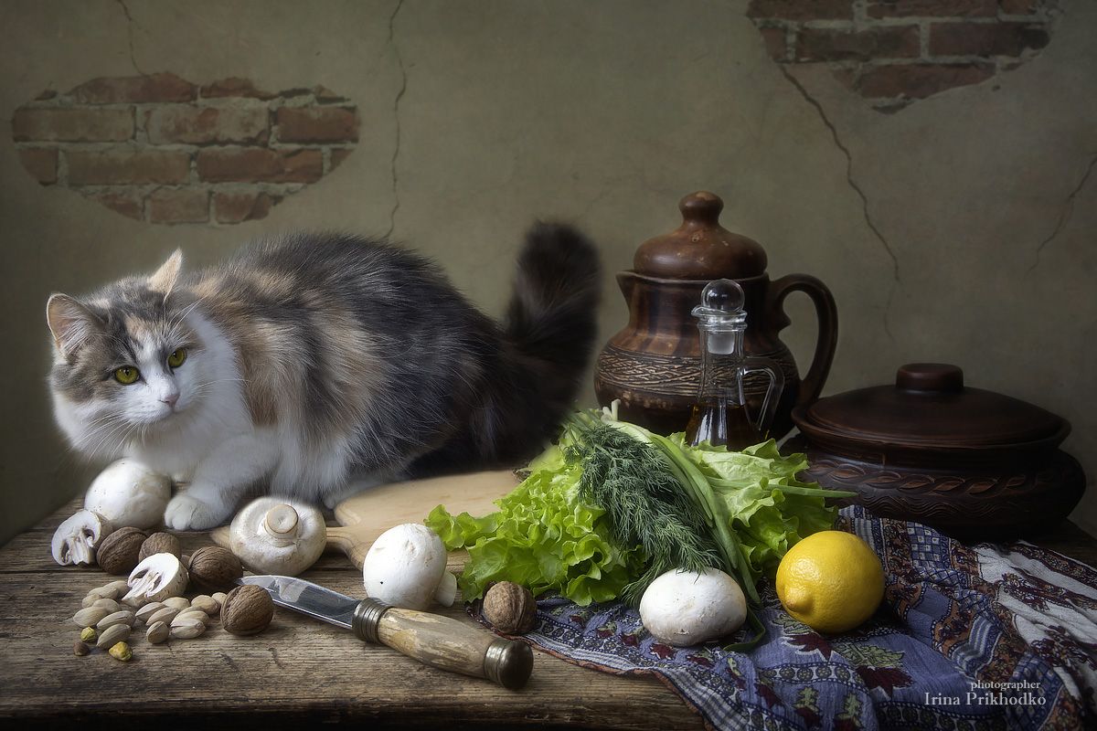 постановочное фото, вегетарианский стол, натюрморт, котонатюрморт, домашние животные, кошка, Приходько Ирина