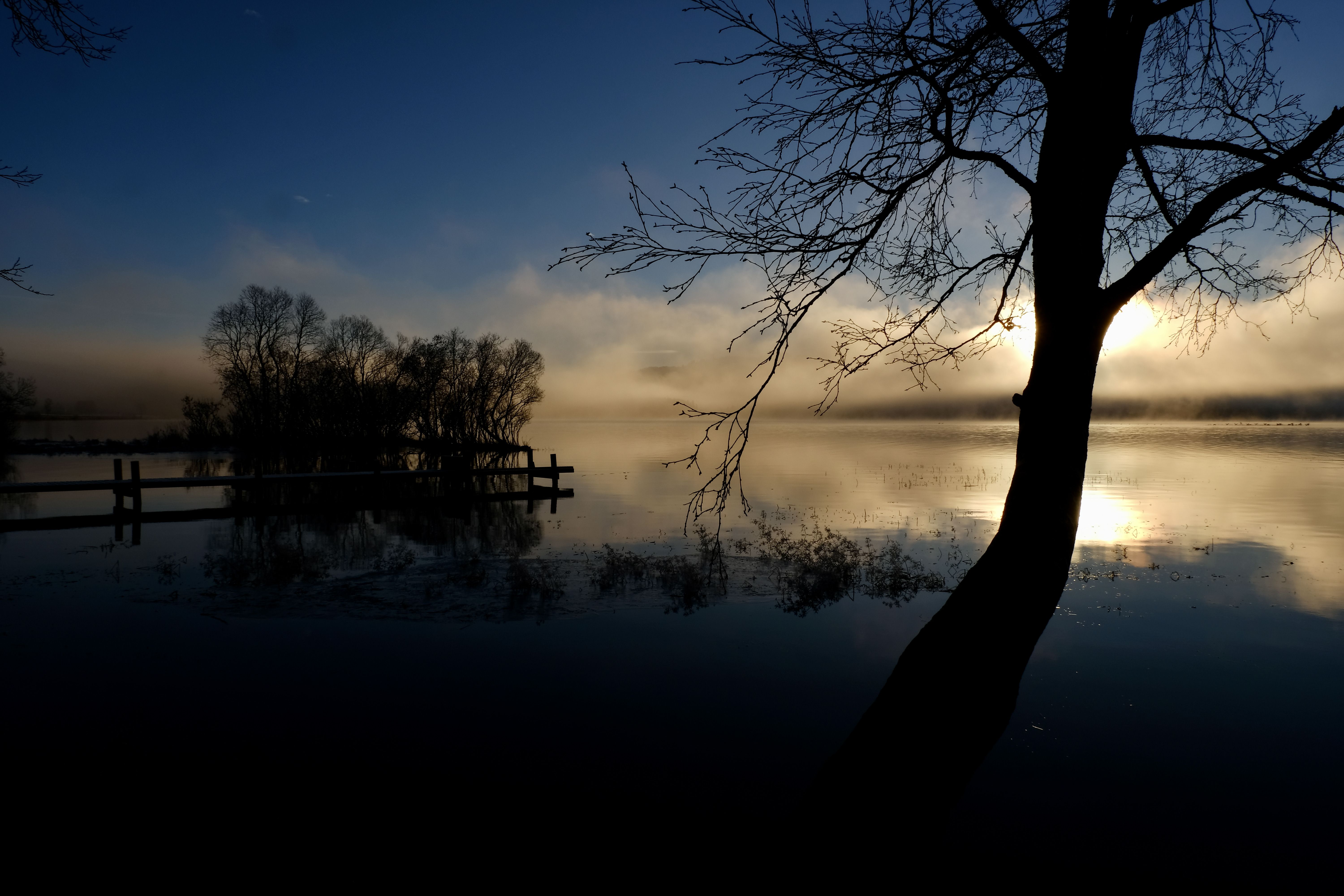 Landscape, nature, lake, water, fog, mist, sunrise, tree, reflection, mood, , Svetlana Povarova Ree