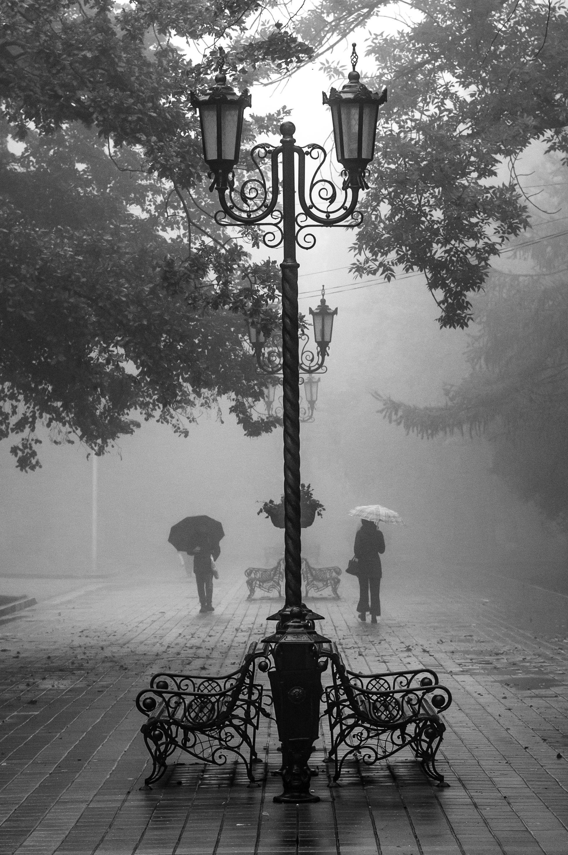Туман, город, улица, , Виталий Маслов