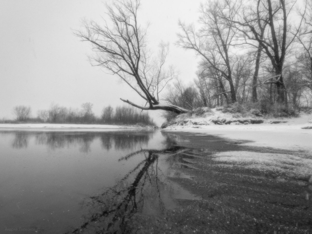 зима, пейзаж, река, снег, дерево, Андрей Ларионов