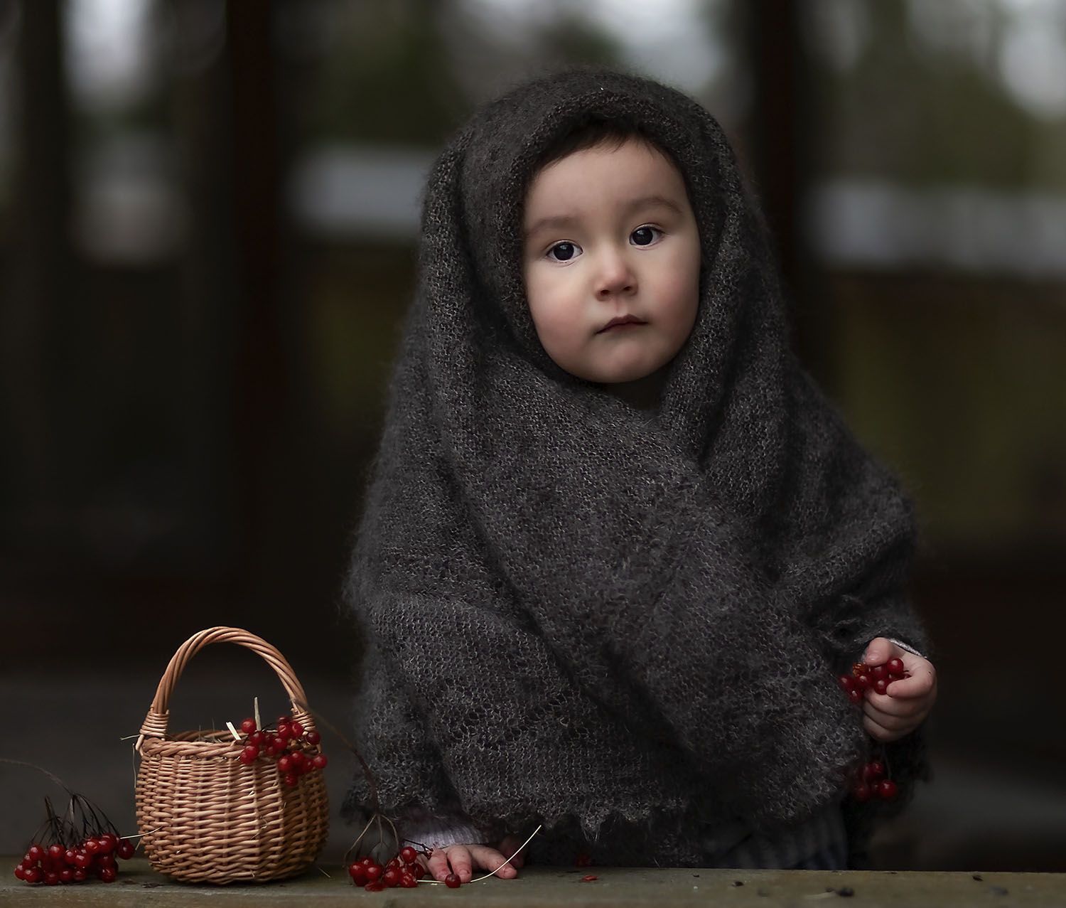 малыш,калина,портрет, child, kids, portrait, berry, nature, Юлия Стукалова